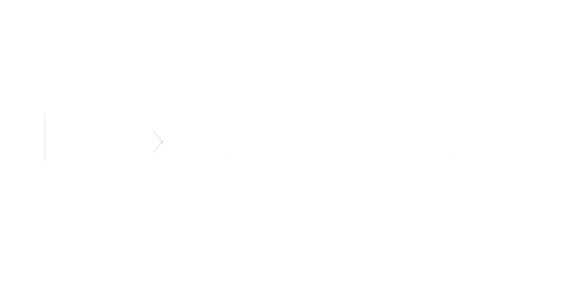 FlexScale LNG white logo without the background.