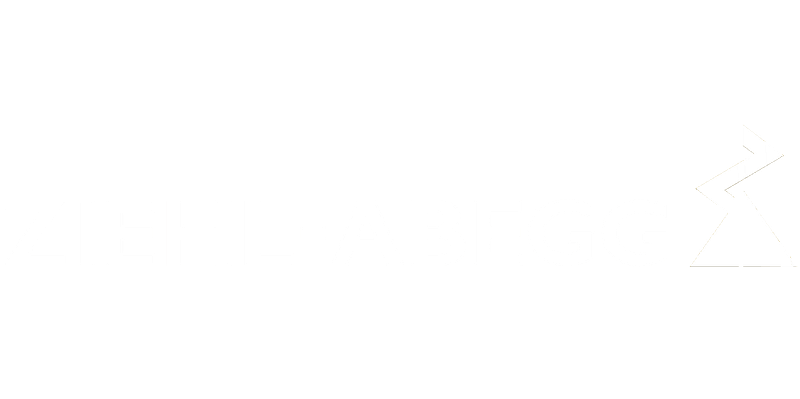 ZIEHL-ABEGG logo in white without the background